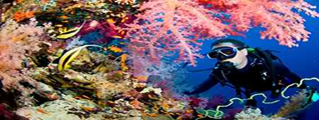 diving holiday